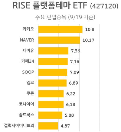 RISE 플랫폼테마 ETF 영어로